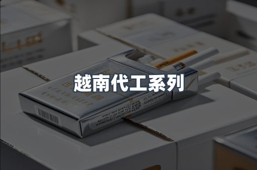 越南代工系列